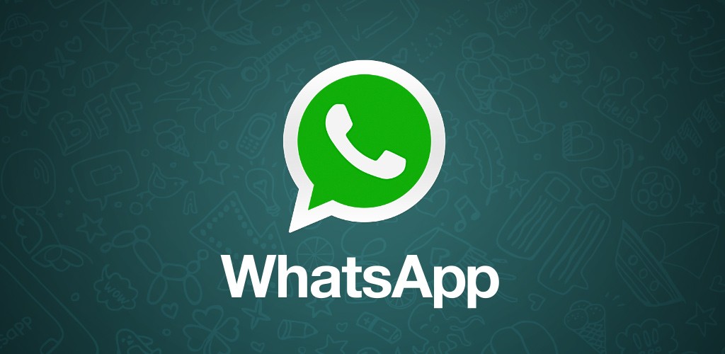 Where to View WhatsApp Group Sending Data Filter global social media platform bulk marketing numbers